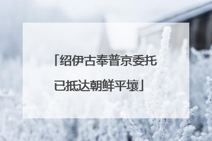 绍伊古奉普京委托已抵达朝鲜平壤